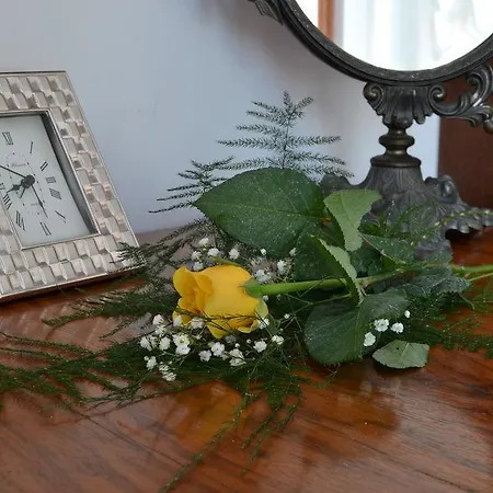 Πανσιόν Le Stanze Di Cornelia 3*